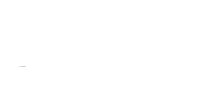 Daffodils Study Abroad Logo